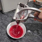 Manual Fruit Juice Squeezer