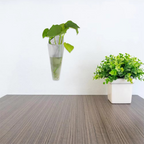 Wall-Mounted Hanging Planter Pot