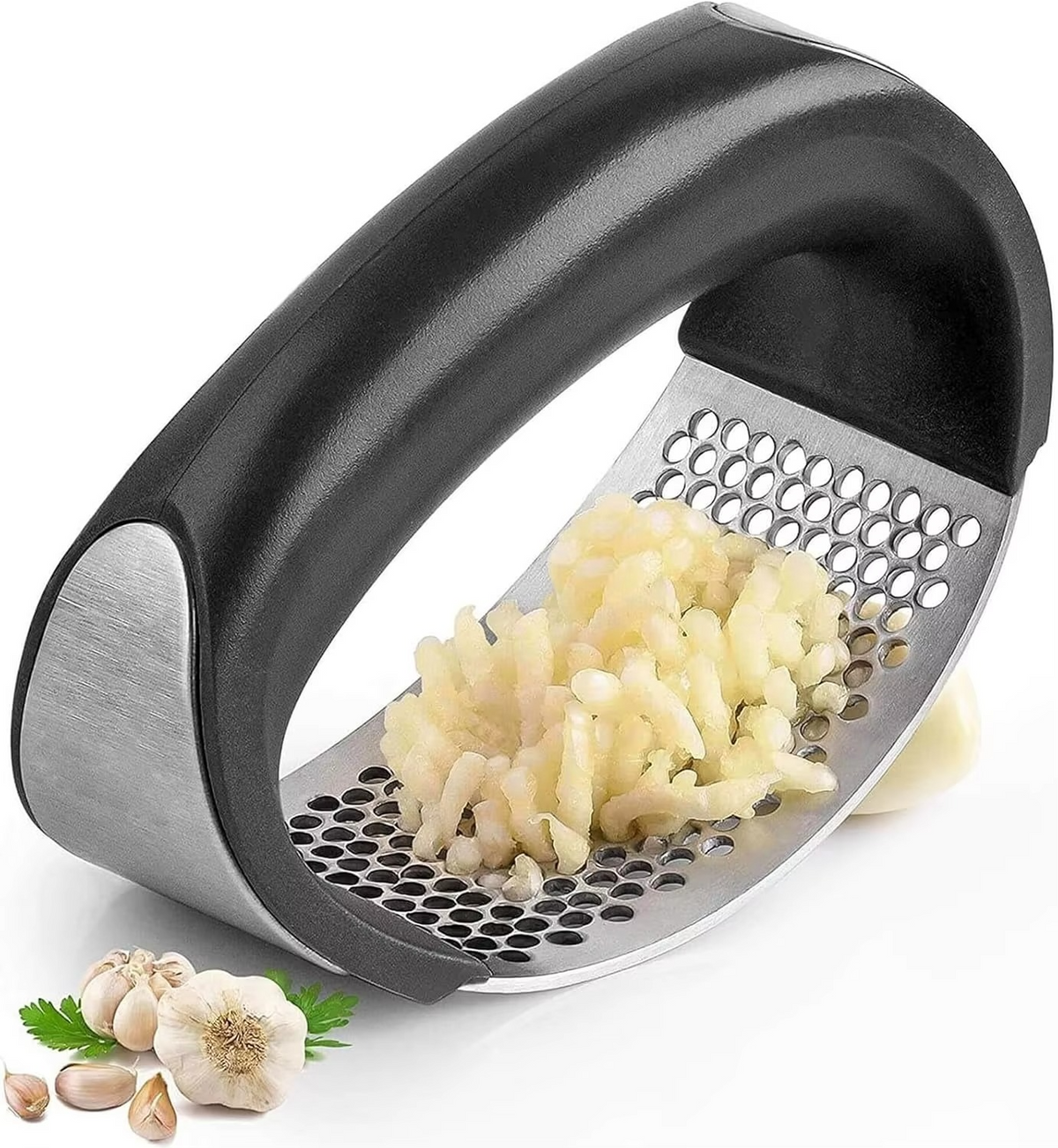 Stainless Steel Garlic Press