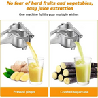 Manual Fruit Juice Squeezer