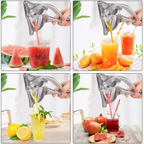 Manual Fruit Juice Squeezer