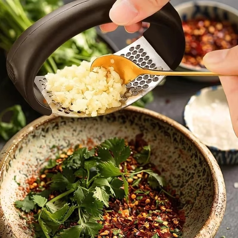 Stainless Steel Garlic Press