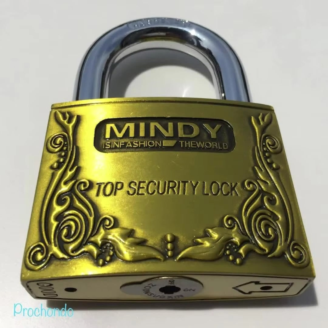 Mindy Super Strong Security Padlock